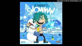 Icy narco x reddrum type beat snowman