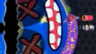 Wormate.io Halloween Skins Trolling Professional Worm Headshots And Kills!!