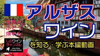 【フランス・アルザス地方】ワインを知る！学ぶ！本編動画（ヴァンドール） しのワインちゃんねる