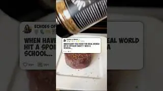 When Have You Seen The Real World Hit a Spoiled Brat #reddit