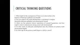 Tooth development Viva Questions for Dental Students | First-Year BDS Exam Preparation