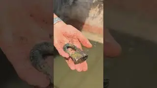 Magnetangeln am gef&auml;hrlichsten Kanal &ndash; Was wir alles gefunden haben!