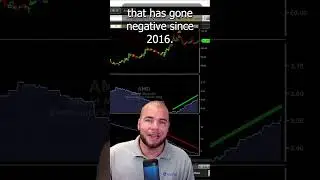 Insight into AMD's Earning Call! | VectorVest