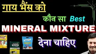 Best mineral mixture for cow