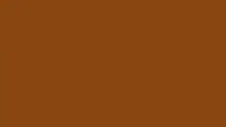 Saddle Brown Screen 12 Hours &ndash; Deep Earthy Color in 4K UHD
