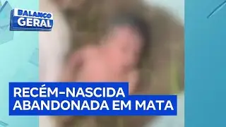 Rec&eacute;m-nascida &eacute; encontrada abandonada em &aacute;rea de mata ap&oacute;s choro alertar moradores