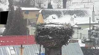 Moravsky Beroun
