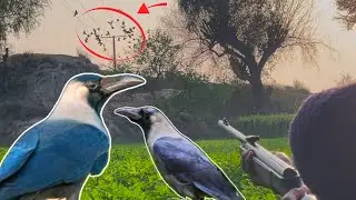 Ultimate Crow Hunt: Epic Shots & Non-Stop Action#Smartest Birds vs. Sharpest Shooters &ndash; Who Wins?&rdquo;