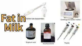 Estimation of Milk Fat #Gerber Method #Butyrometer #H2SO4 #Iso-Amyl Alcohol #Centrifuge #Milk #Fat