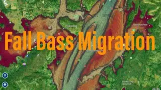 FALL Bass Migration!! (Map Study)