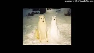 wuu x suban type beat (y7xnxx)