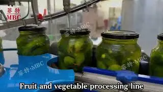 MBC Cucumber Washing Pasteurization Machine