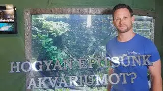 Így rendezünk be egy akváriumot a Tropicariumban