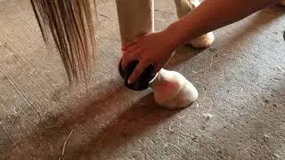 Doppy Fetlock Treatment