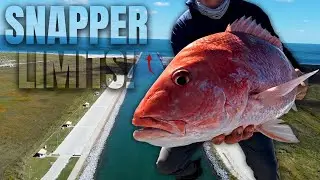 Ловля красного люциана в State Water | Эта катушка слишком хороша? (Корпус-Кристи, Техас)
