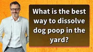 What is the best way to dissolve dog poop in the yard?