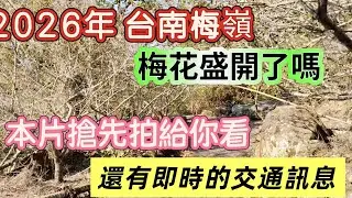2026年，台南楠西鄉的梅嶺，梅花開花的現況，本片搶先拍給你看，還有即時的交通訊息，一併與您分享！ @九天遊記 82