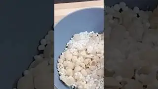 pasta payasam 😋#shorts#ytshorts