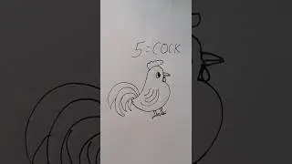 how to draw cock easy for beginner