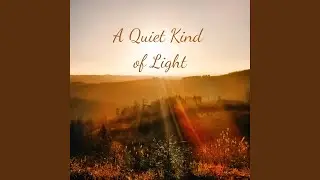 A Quiet Kind of Light