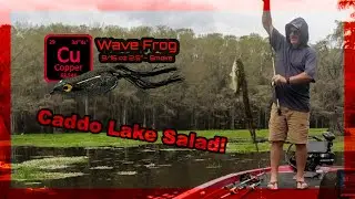 BOOM goes the Caddo Lake Frog! 🐸💥