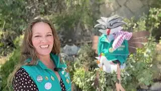 Chincolito te pregunta con Marisol Torregrosa