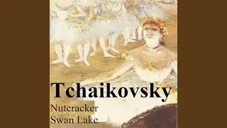The Nutcracker, Op. 71a: III. Andante ma non troppo