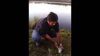 Fishing at Figure Eight Lake Peace River Alberta Canada August 2013