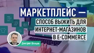 Маркетплейс &mdash; способ выжить для интернет-магазинов в E-Commerce. SEO для магазинов. Дмитрий Шевцов