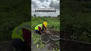 Our Recent Green Earthing Project in MAHARASHTRA 💫#earthingsystem #education #electricalengineering