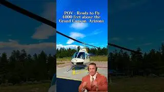 🤯😱DO YOU DARE? 🚁4000Ft above GRAND CANYON? #dare #fear #scary #omg #memes #funnyshorts #viral