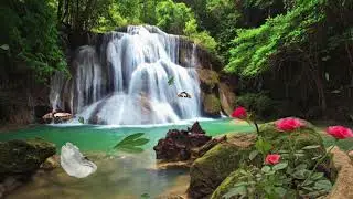 Most Beautiful Waterfalls Nature Whatsapp Status HD