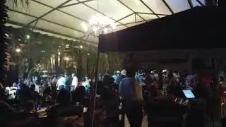 Grupo TuBanda-Paloma en su nido