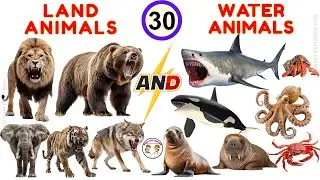 30 Land & Water Animals for Kids 🐠| Wild Animals | Learn Animal Names & Sounds | STEM Learning Video