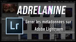 Apprendre et comprendre les métadonnées sur Lightroom