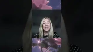 What is Limitless 365