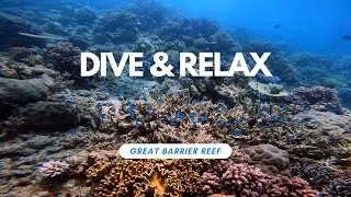 Underwater Paradise with Relaxing and Meditation Music | Great Barrier Reef | 4K