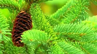 A Moment of Zen at Pokagon State Park in Indiana | Part 3