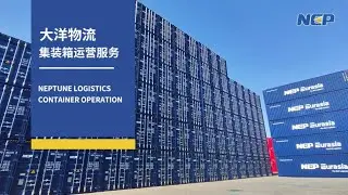 Optimize Your Container Costs with Neptune Logistics 🌍
