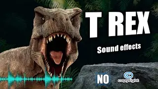 T Rex Really Sound | Dinosaur Sounds | Dinosaur Scream sound effect no copyright