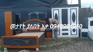 ጥራት እና ታማኝነት መለያችን ነዉ አዲራሻ ኮቦልቻ ለማዘዝ በ0948994950 ሀሎ ይበሉ