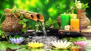 Sleep Music for Deep Sleep 🌿Relieves Stress, Anxiety Disorders, Relaxing Music, Healing Water Sounds