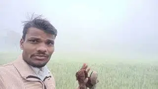Mv indian vlog // trending bro blog video viral// farming video// short farming video #farming 