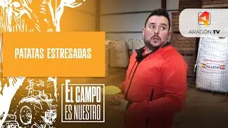 Patatas con estrés