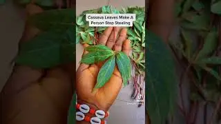 Do This Remedy To Make Someone Stop Stealing Or Take What Doesn't Belong To Them. /Result in 7 Days.