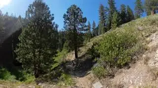 North Fork of Lime Creek Trail in Boise National Forest part 2