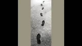Nikonn - 