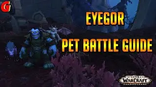 Eyegor Pet Battle Guide - Shadowlands