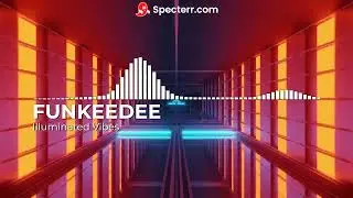 Funkeedee - Illuminated Vibes