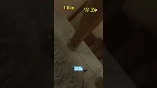 Random vide #2